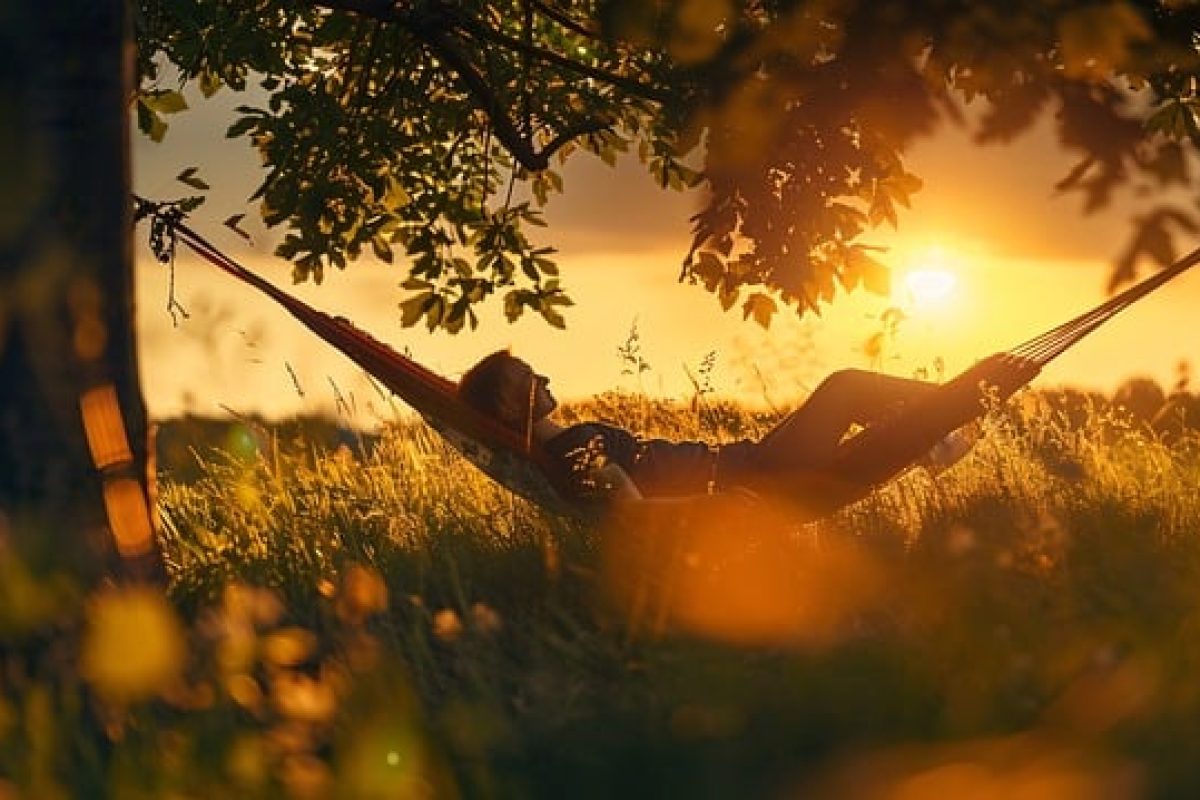 hammock-forest-8764277_640