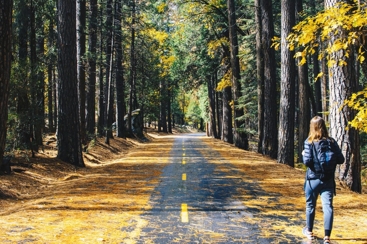 road-2598213_1280