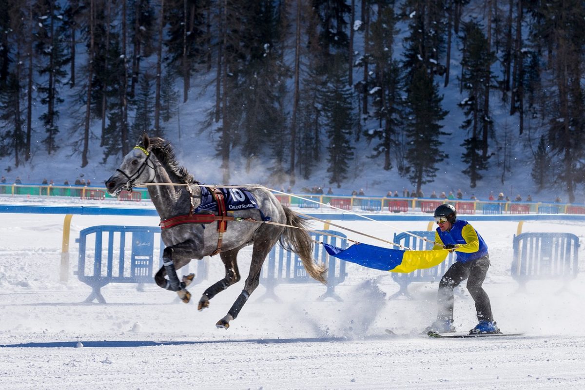 skijoring