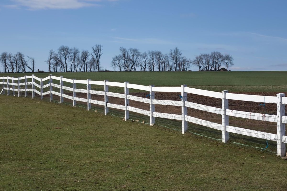 white fence-7697177_1280